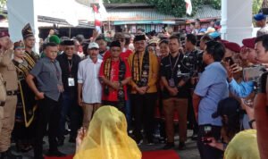 Cudy Agusto Scaled 300x178