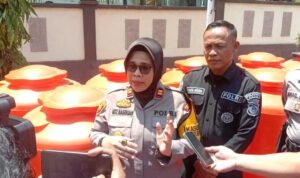 WhatsApp Image 2024 09 12 At 19 300x178