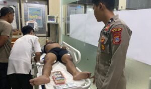 WhatsApp Image 2024 09 13 At 22.02.16 1 300x178