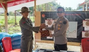 WhatsApp Image 2024 10 26 At 22.35.14 300x178