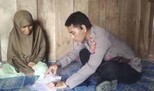 WhatsApp Image 2024 10 30 At 08.18.32 1 300x178