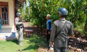 WhatsApp Image 2024 11 01 At 23.35.32 1 300x178