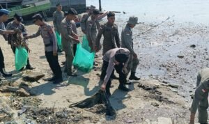 WhatsApp Image 2024 11 03 At 09.25.51 1 300x178