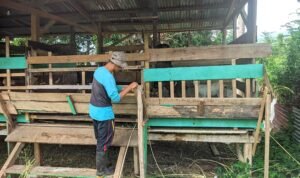 WhatsApp Image 2024 11 16 At 14.32.37 300x178