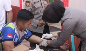 WhatsApp Image 2024 11 19 At 10.46.36 300x178