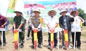 WhatsApp Image 2024 11 20 At 16.30.44 300x178