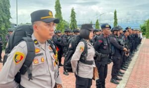 WhatsApp Image 2024 11 23 At 10.53.17 300x178