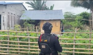 IMG 20241219 WA0115 300x178