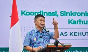 IMG 20241220 WA0025 300x178