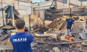 WhatsApp Image 2024 12 09 At 10.49.22 300x178