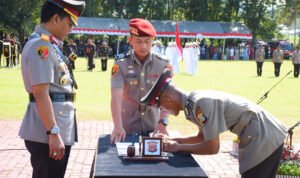 WhatsApp Image 2024 12 18 At 09.52.46 300x178