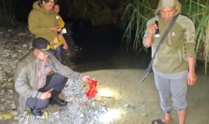 Dc32a26b 53aa 45a3 9654 217c5c29b929 300x178