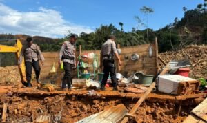 IMG 20250105 WA0001 300x178