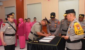 IMG 20250109 WA0014 300x178