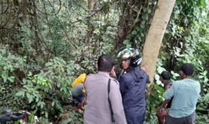 Picsart 25 01 24 16 15 48 262 300x178