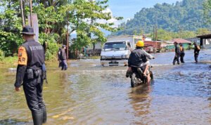 IMG 20250408 WA0054 300x178