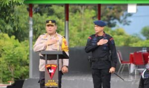 IMG-20250409-WA0053 IMG 20250409 WA0053 300x178