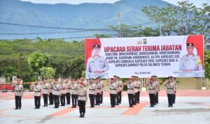 IMG-20250410-WA0013 IMG 20250410 WA0013 300x178