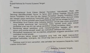 LihatSulteng