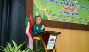 LihatSulteng LihatSulteng.com