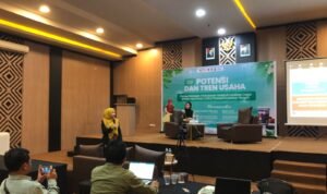LihatSulteng.com