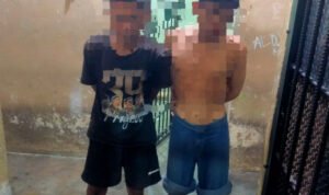 Lihatsulteng.com