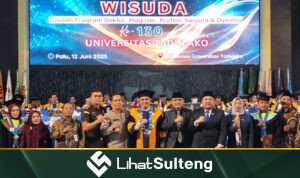 lihatsulteng.com