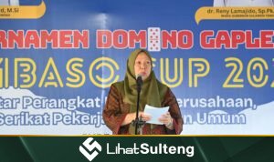 lihatsulteng.com