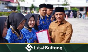 LihatSulteng LihatSulteng.com