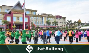 LihatSulteng Lihatsulteng.com