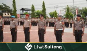 LihatSulteng LihatSulteng.com