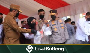 LihatSulteng Lihatsulteng.com
