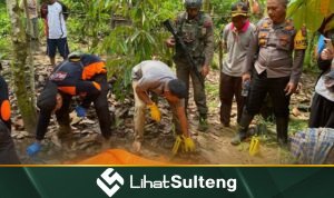 Lihat Sulteng lihatsulteng.com