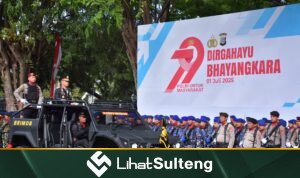 LihatSulteng lihatsulteng.com