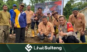 LihatSulteng.com