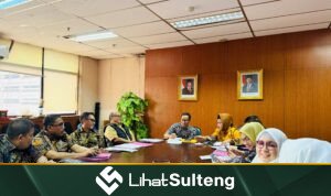 LihatSulteng lihatsulteng.com
