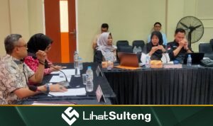 LihatSulteng.com