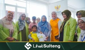 lihatsulteng.com