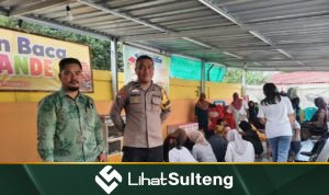 LihatSulteng lihatsulteng.com