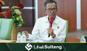 LihatSulteng lihatsulteng.com