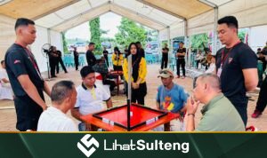 LihatSulteng lihatsulteng.com