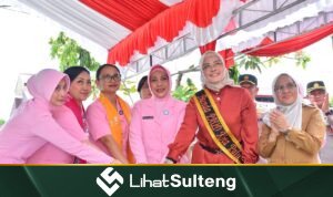 lihatsulteng.com