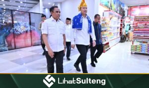 lihatsulteng.com