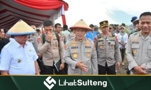 LihatSulteng lihatsulteng.com