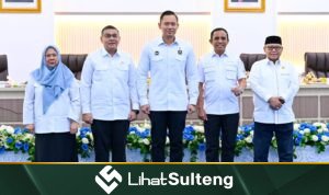 LihatSulteng lihatsulteng.com