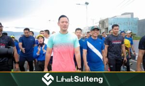 LihatSulteng lihatsulteng.com