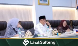 LihatSulteng.com