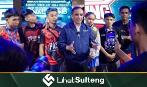 lihatsulteng.com