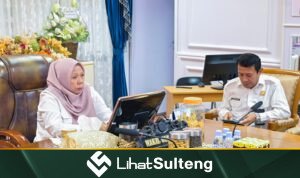 LihatSulteng lihatsulteng.com