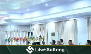 LihatSulteng lihatsulteng.com